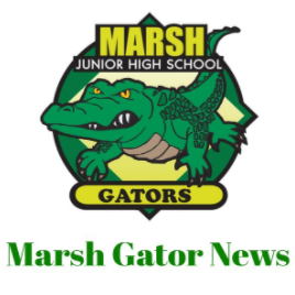 Marsh Gator News