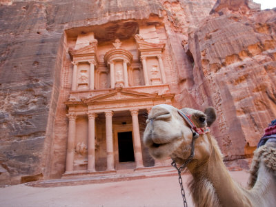 A camel in front of a stone temple