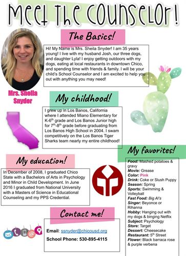 Meet the counselor Shelia Snyder